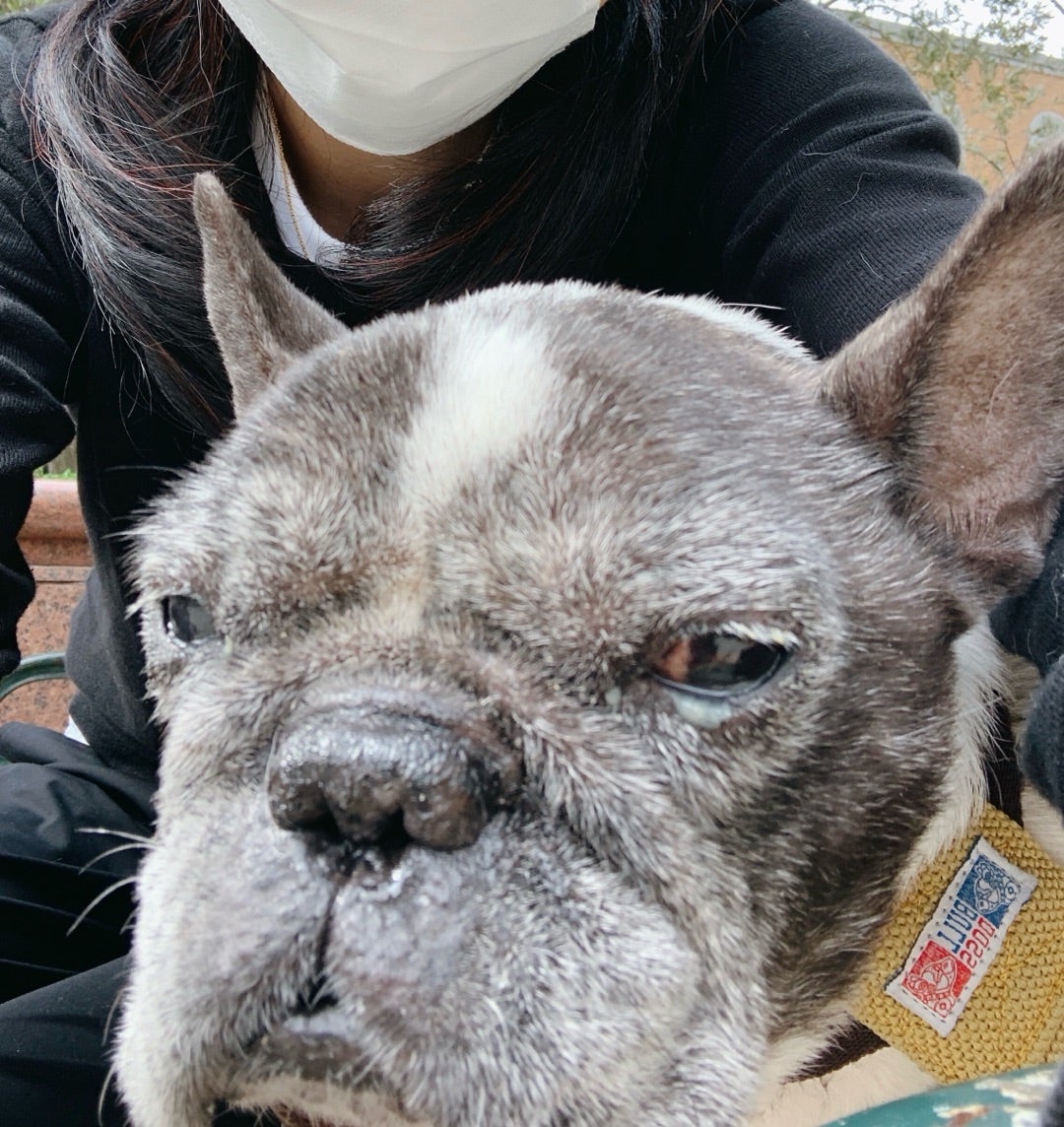 松居直美 ノープランの旅行へ