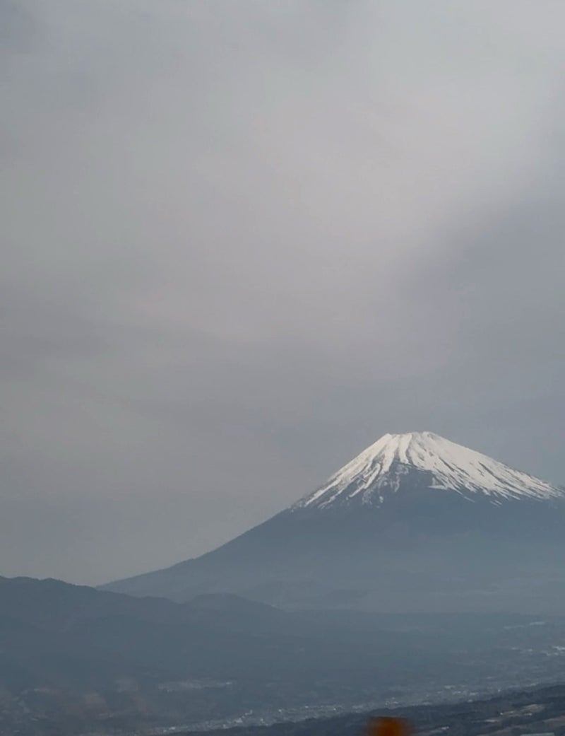 北斗晶 夫婦で見た綺麗な八重桜の画像