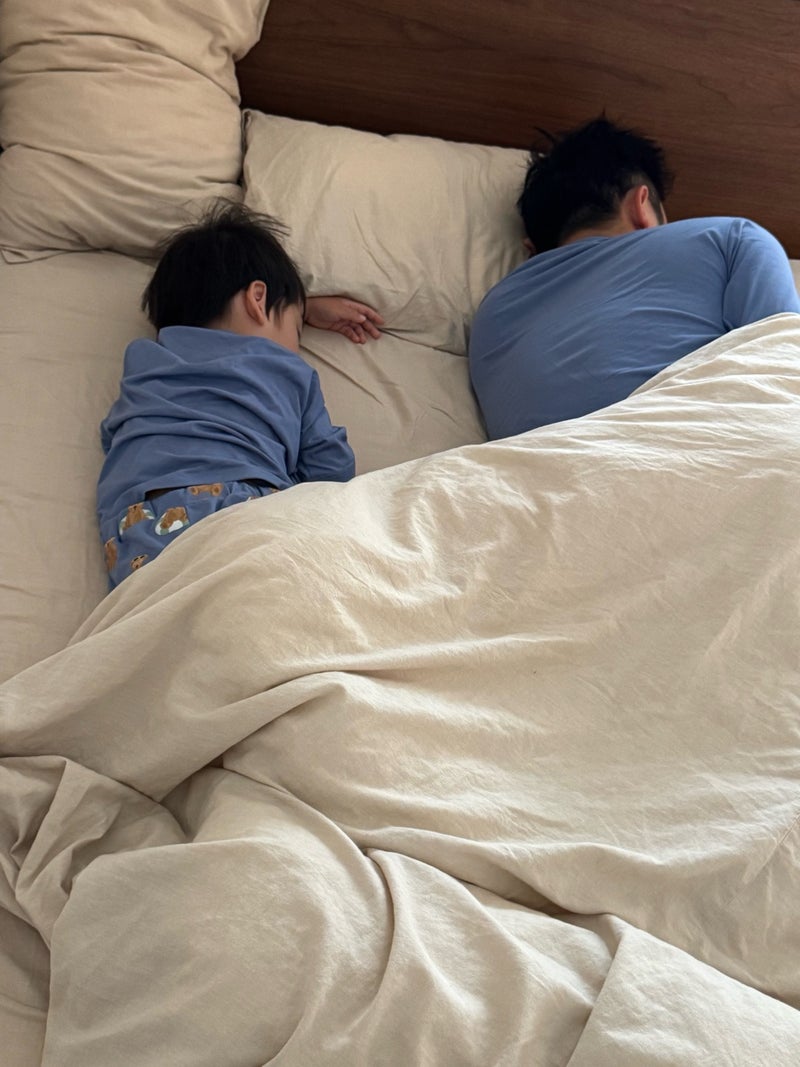 だいた 過去イチくたびれない生地の画像