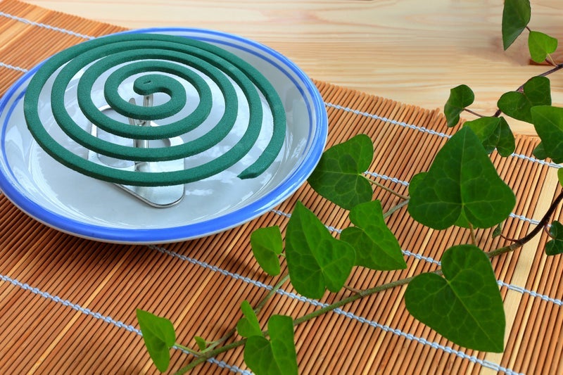 虫よけ器で弱っていた虫の様子の画像