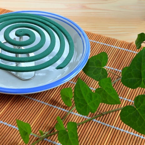 虫よけ器で弱っていた虫の様子の画像