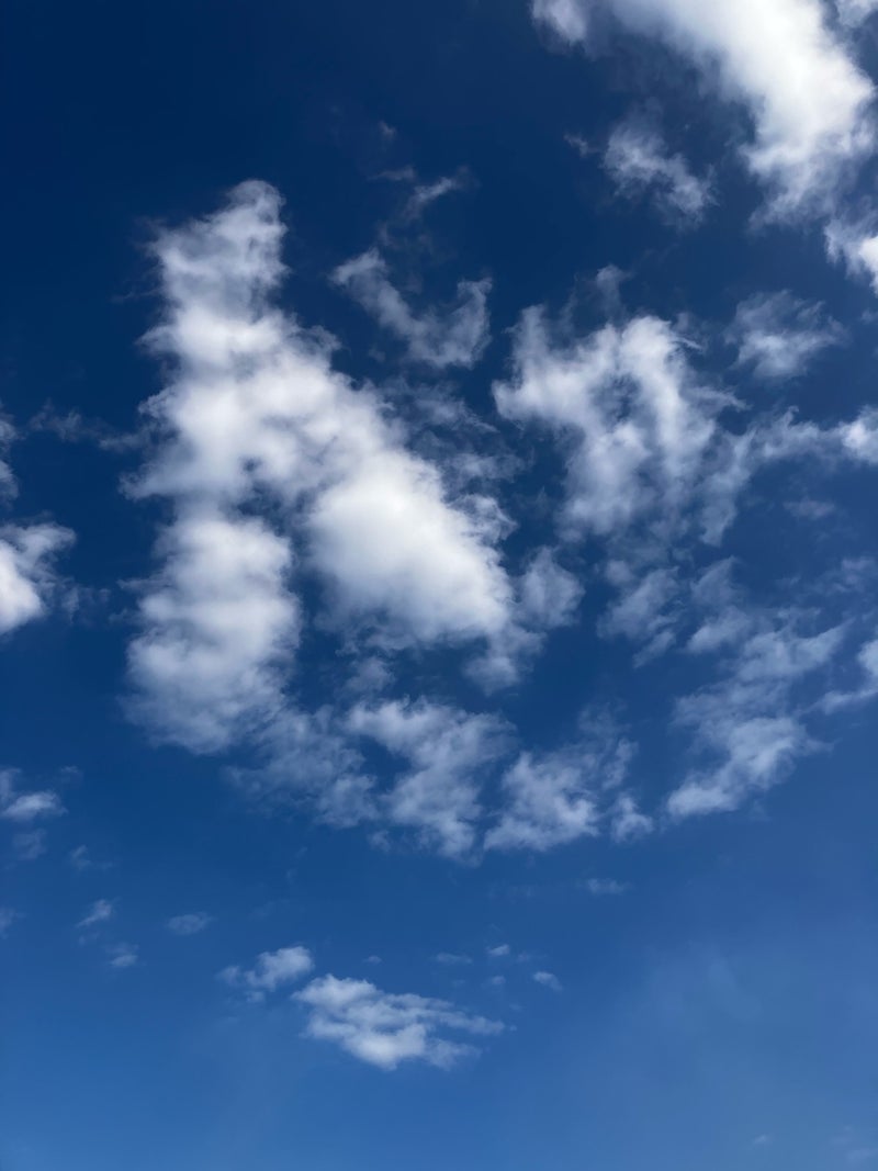 義父母が亡くなり変わったお正月の画像