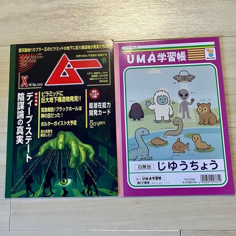 100均で衝動買いした夫のノートの画像