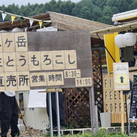 高橋英樹 美味なモロコシチーズケーキの画像