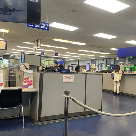 野沢直子 何十年ぶりの免許写真撮影の画像