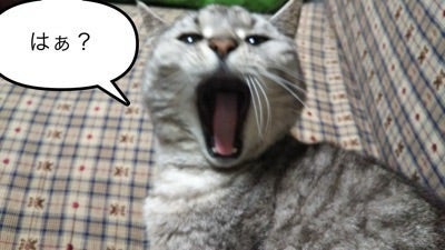 足がつって電話に出られないという義母の画像
