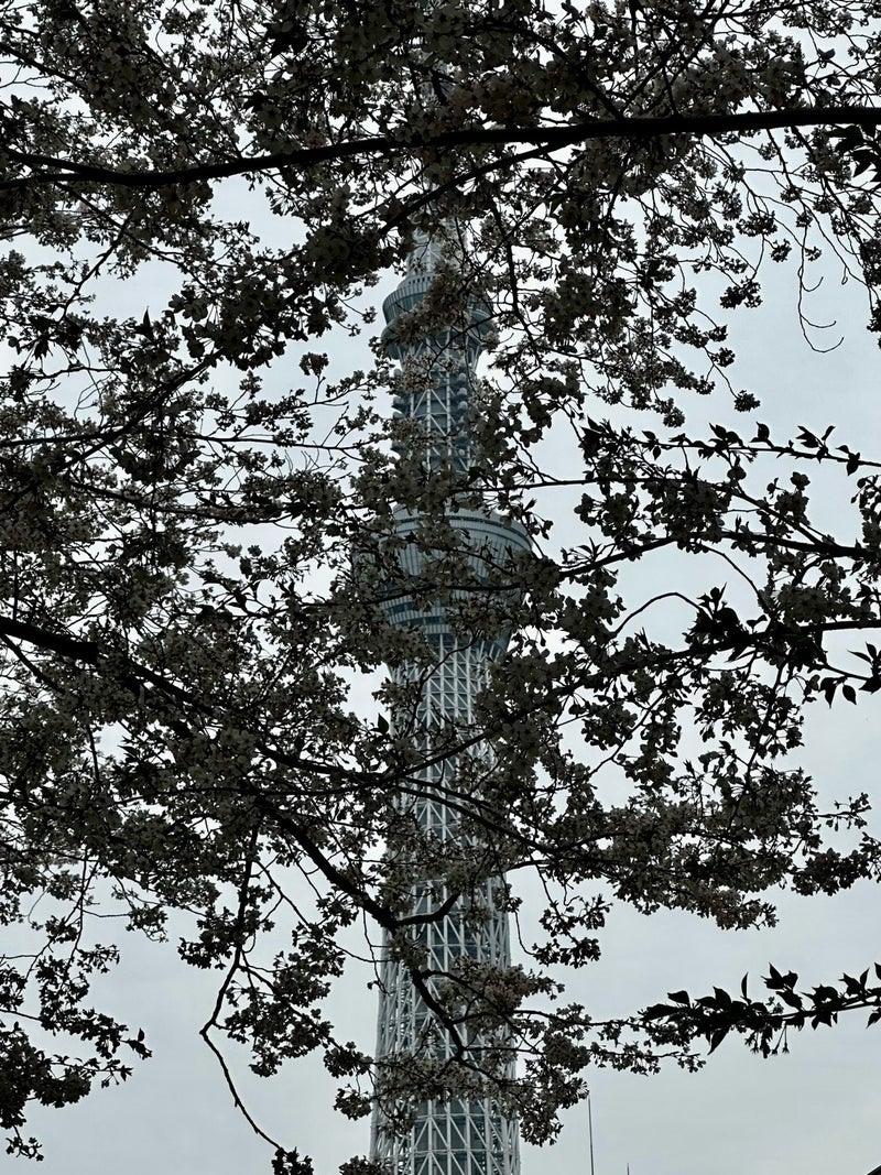 新たな発見となった絶品の焼きふぐの画像