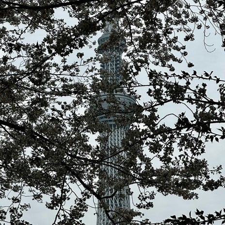 新たな発見となった絶品の焼きふぐの画像