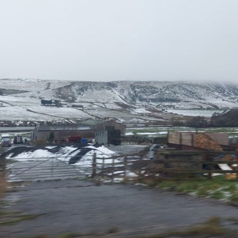 献金せず気まずい思いをした洗礼式の画像