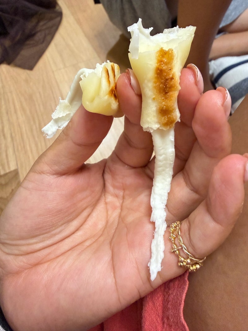 クロ 家族3人の中で唯一の右利きの画像
