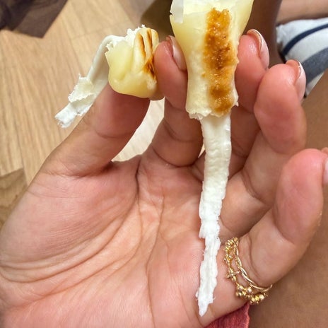 クロ 家族3人の中で唯一の右利きの画像