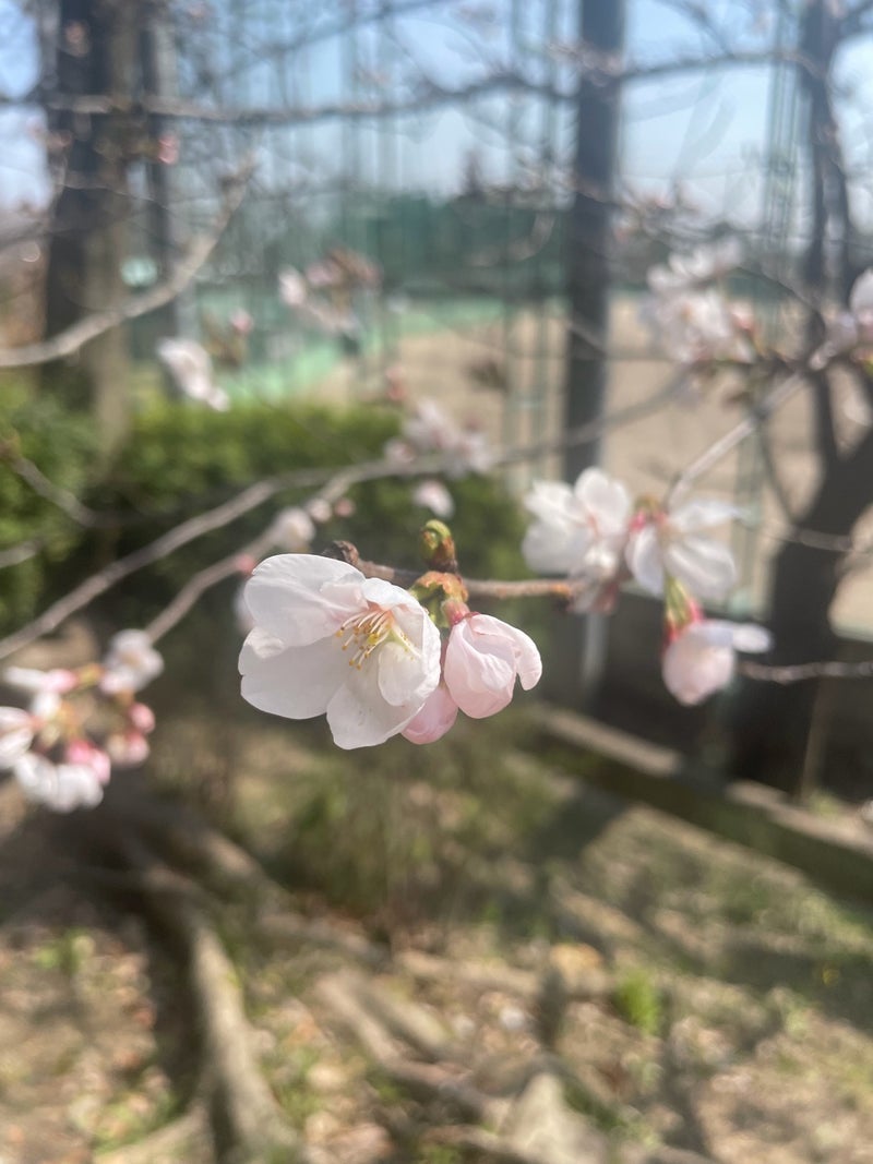 新居で私だけが馴染めない焦燥感の画像