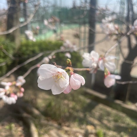 新居で私だけが馴染めない焦燥感の画像