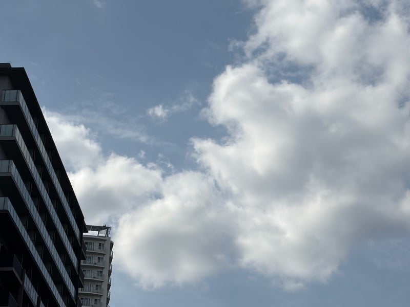 桃の母 大好きな足利の家の夕焼けの画像