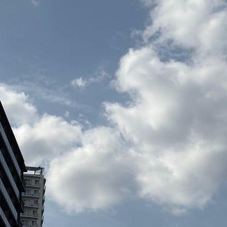 桃の母 大好きな足利の家の夕焼けの画像