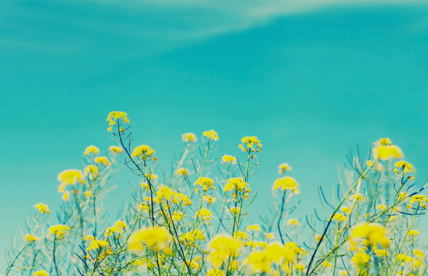 叔父が旅立ち感じた命の有り難さの画像