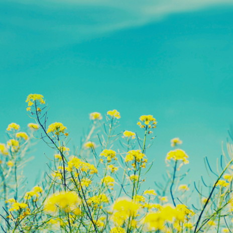 叔父が旅立ち感じた命の有り難さの画像
