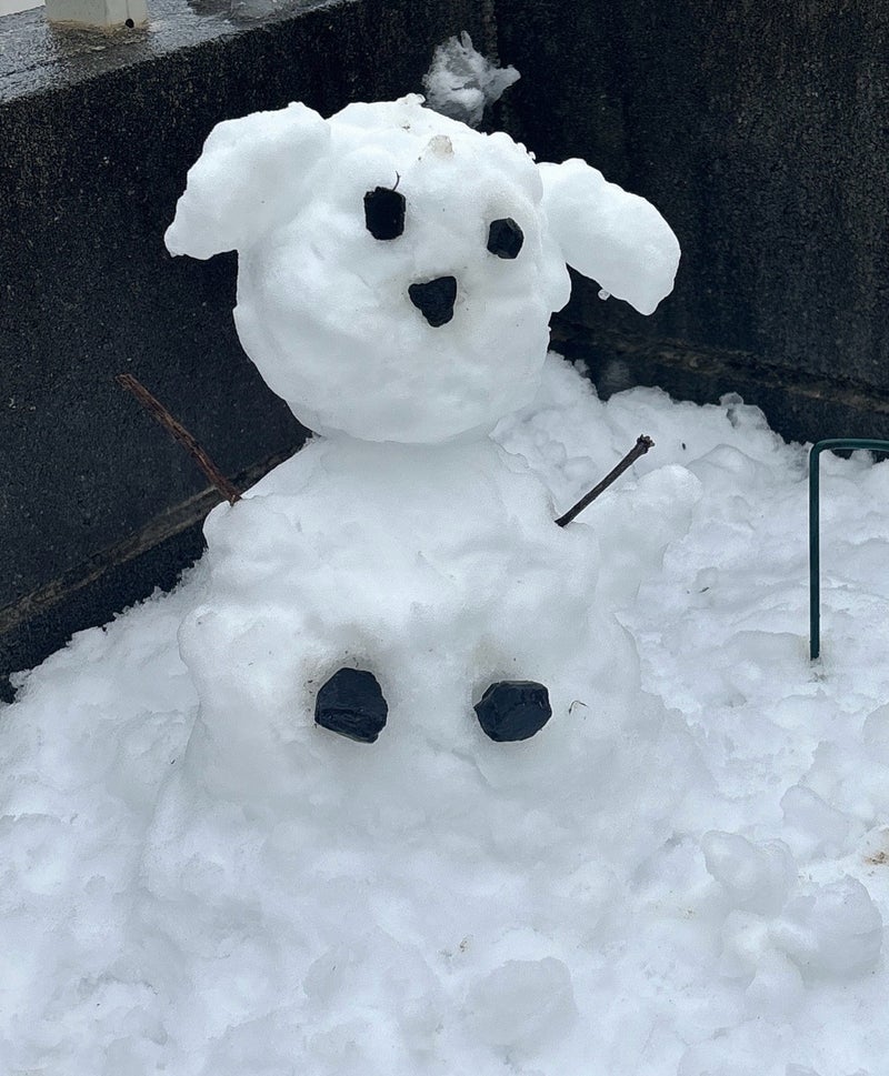いつか作った可愛い犬の雪だるまの画像