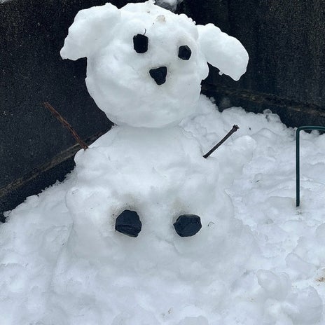いつか作った可愛い犬の雪だるまの画像