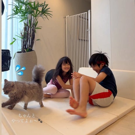 アレク お家でつくったボロネーゼの画像