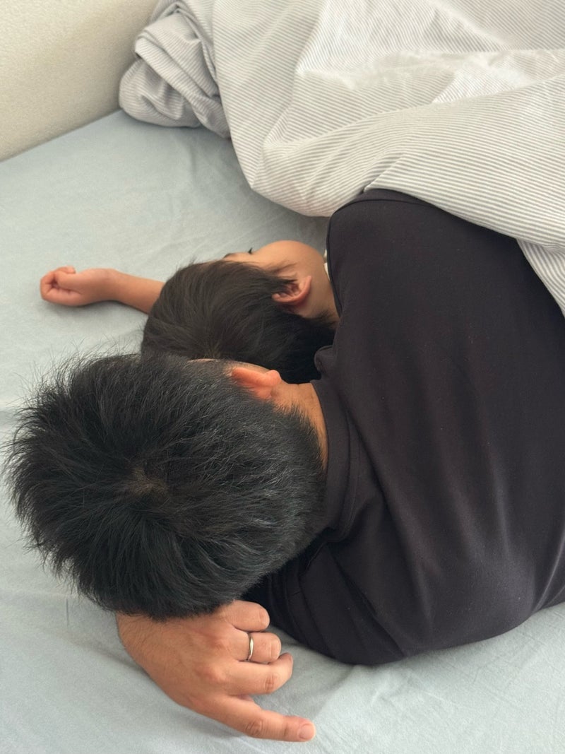 だいた 枕の再利用と小屋の役割の画像