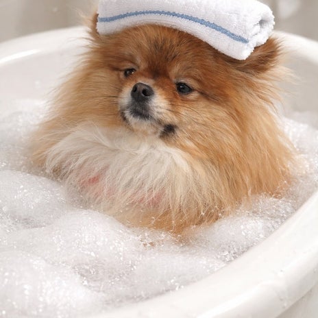 期限が過ぎた支払いを全部私のせいの画像