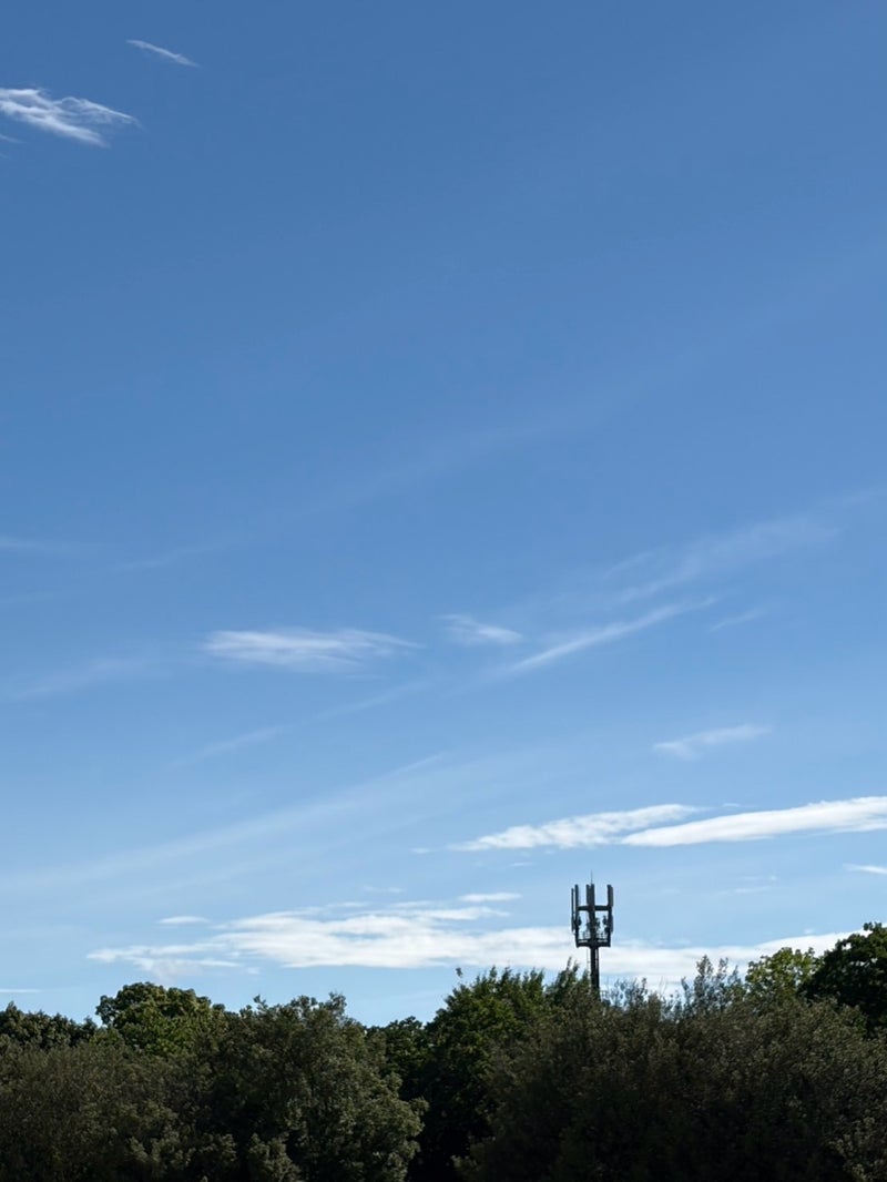 暑い中みんなが頑張っていたサッカーの画像