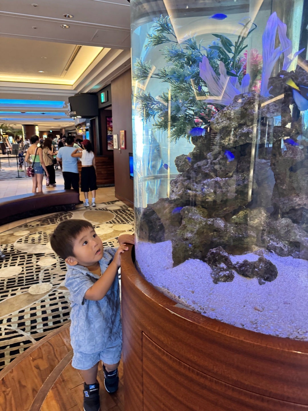 子どもにぴったりだった舞浜のホテルの画像