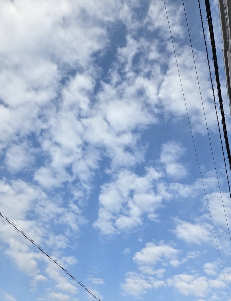 根治のため声をあきらめる手術の画像