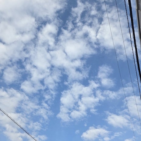 根治のため声をあきらめる手術の画像