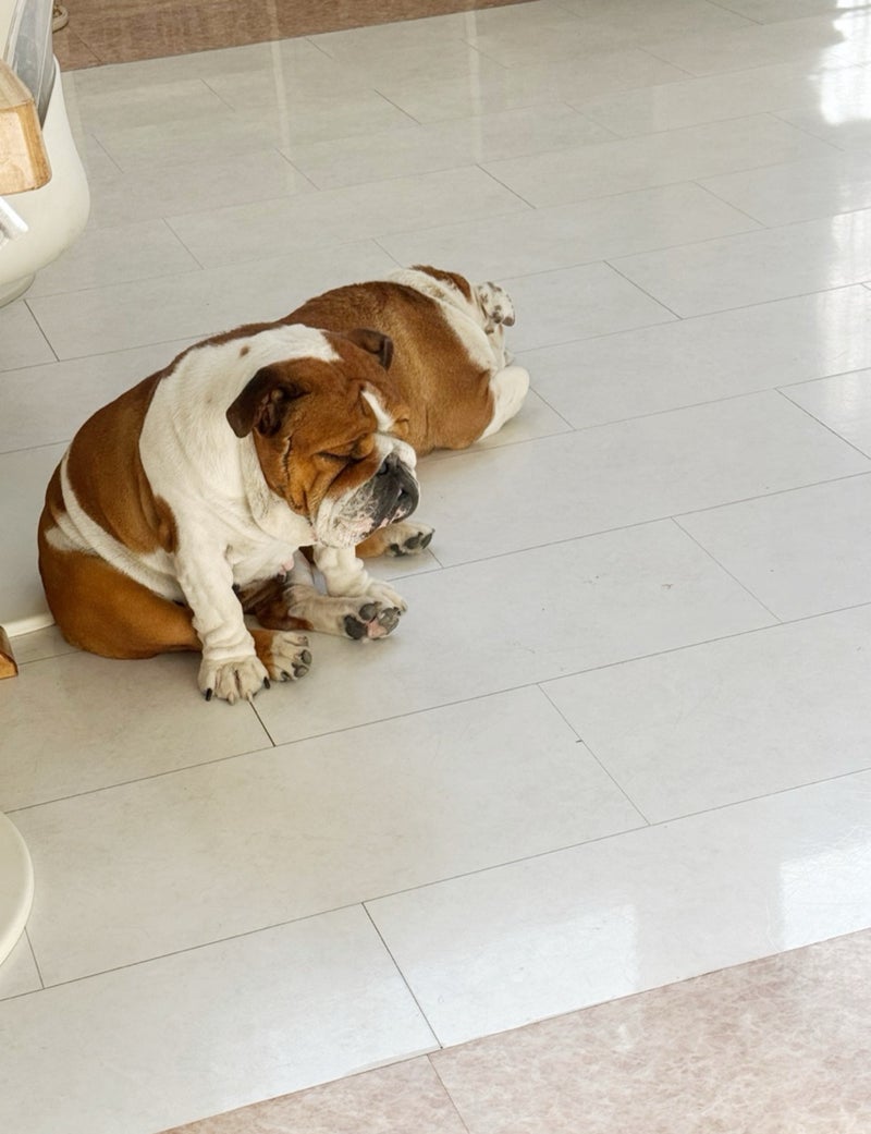 北斗晶 食べる余裕のない立ち食い朝食の画像