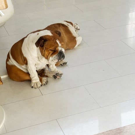 北斗晶 食べる余裕のない立ち食い朝食の画像