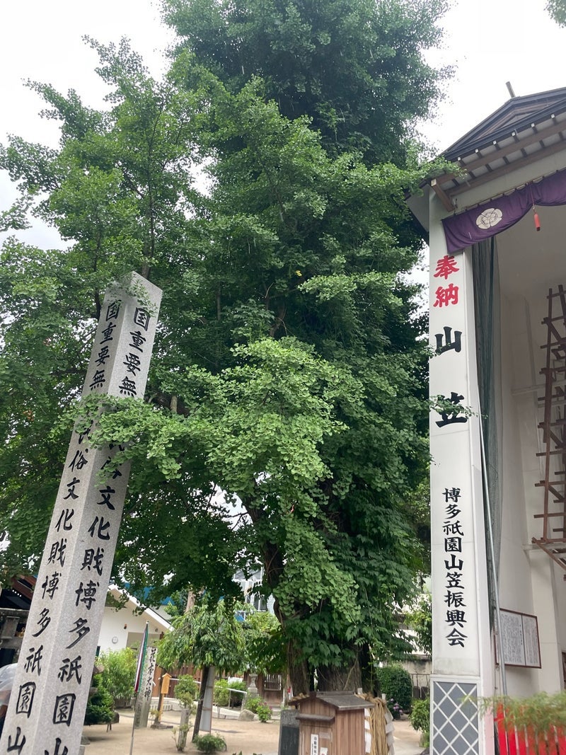 團十郎 朝ランしながら雨の中参拝の画像