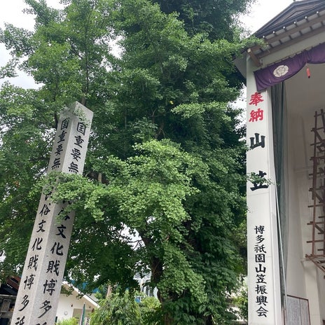 團十郎 朝ランしながら雨の中参拝の画像