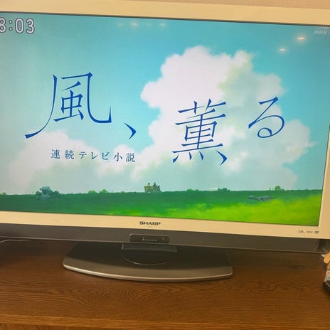 見知らぬうちに変わり寂しい朝ドラの画像