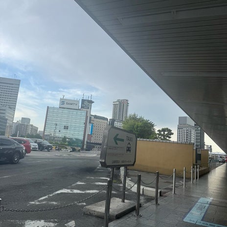 堀ちえみ 久しぶりで緊張のMBSの画像