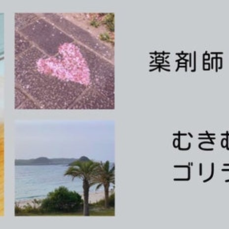 貯金が増えない派遣薬剤師の収支の画像