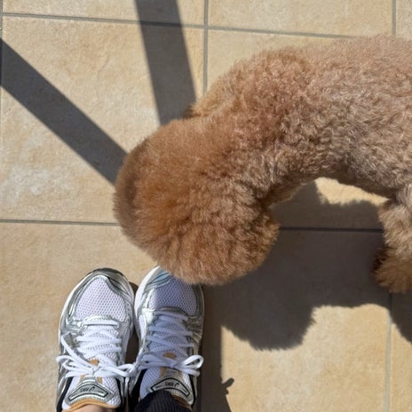 どうしても欲しかったスニーカーの画像