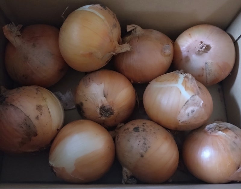 ローンが残っていて売れなかった家の画像