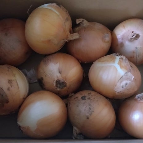 ローンが残っていて売れなかった家の画像