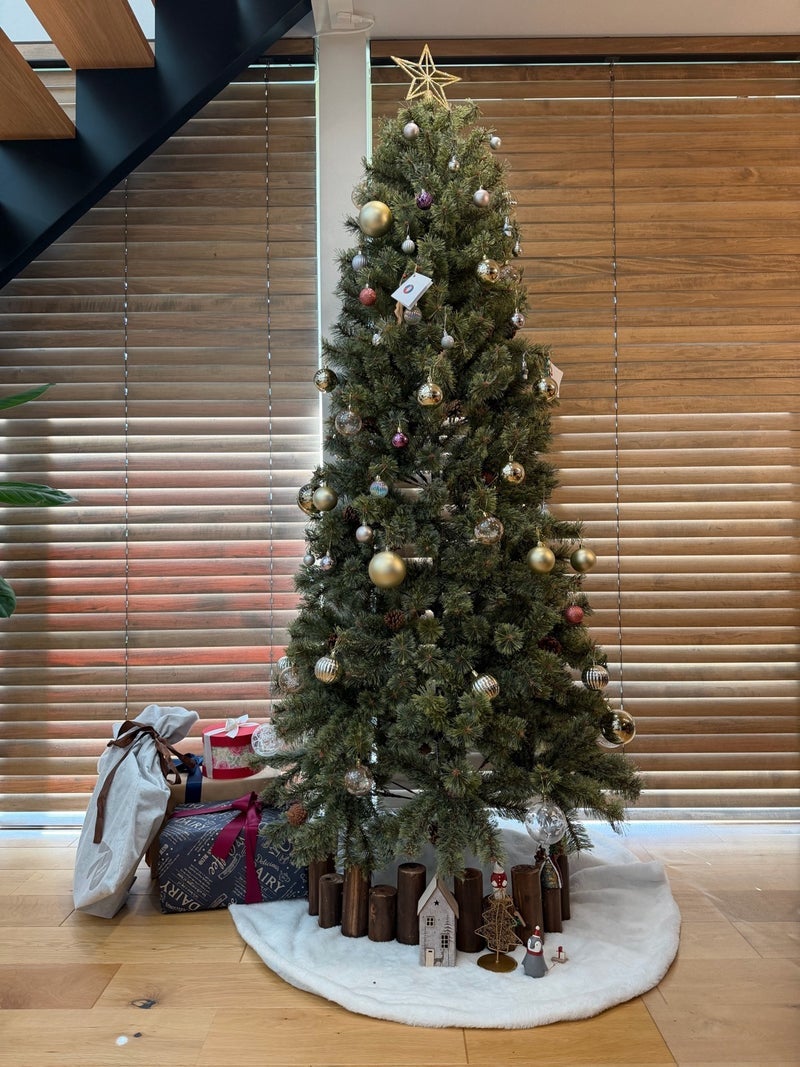 トピックス画像