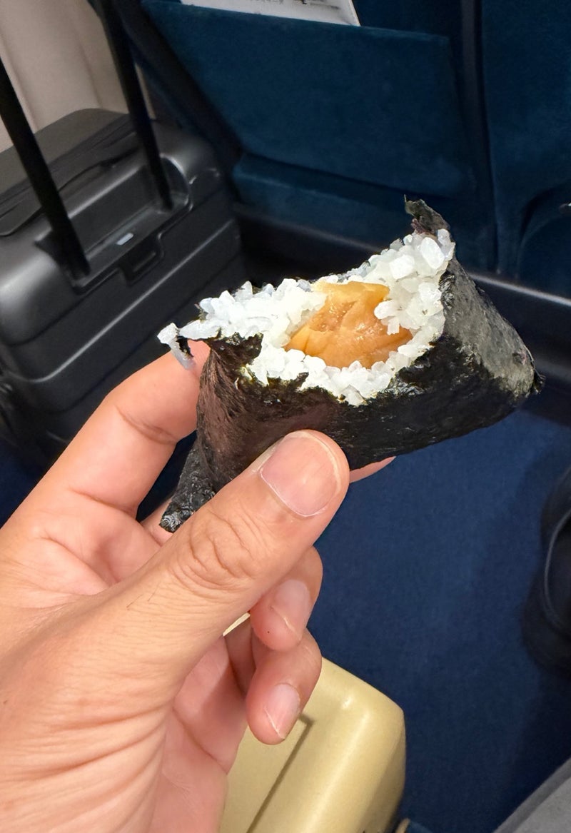 團十郎 新幹線に乗り遅れた出来事の画像