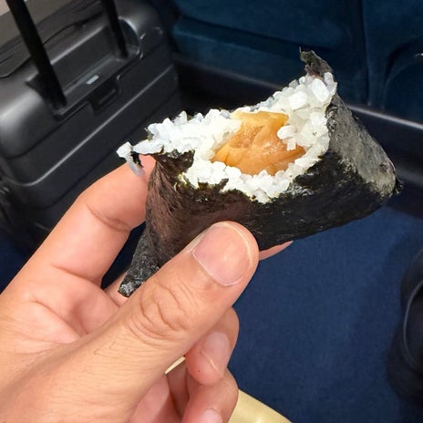 團十郎 新幹線に乗り遅れた出来事の画像