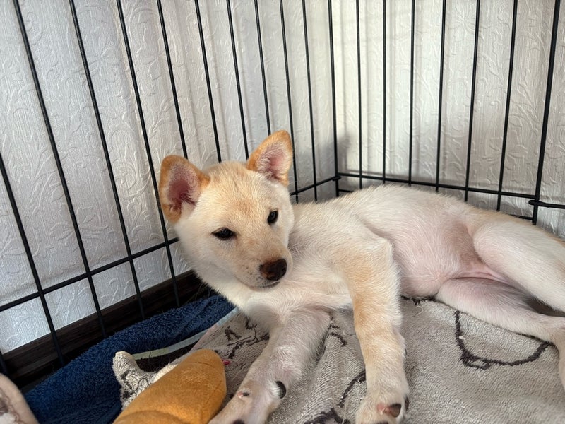 トピックス画像