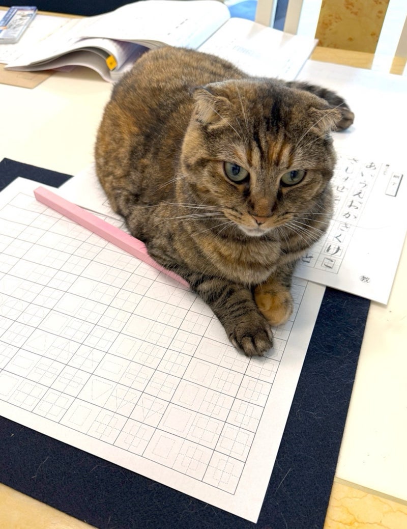 精神統一出来て楽しい書の時間の画像