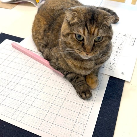 精神統一出来て楽しい書の時間の画像