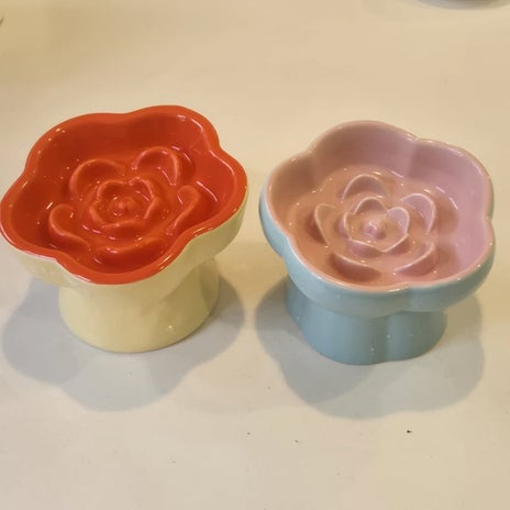 お揃いだった早食い防止用の食器の画像