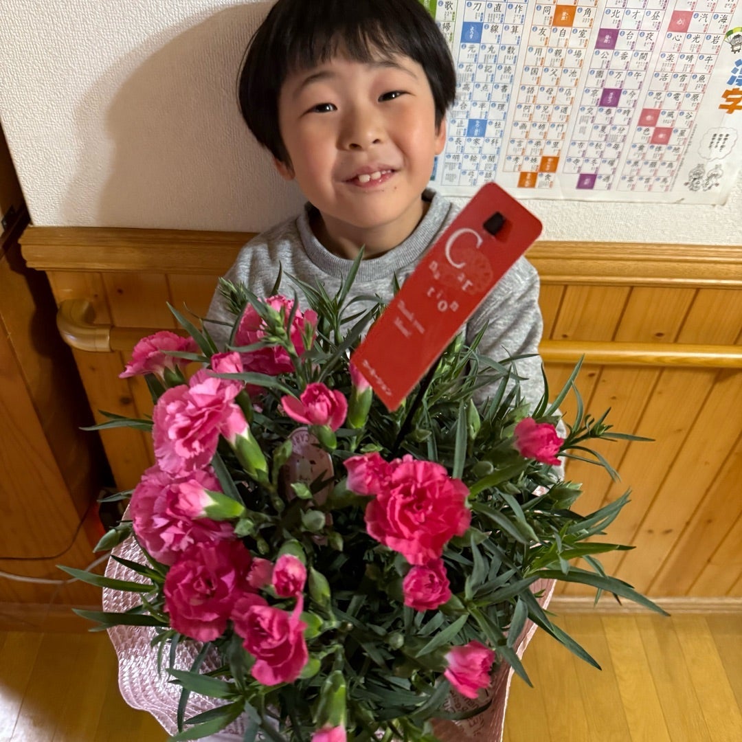 息子からのカーネーションに胸熱
