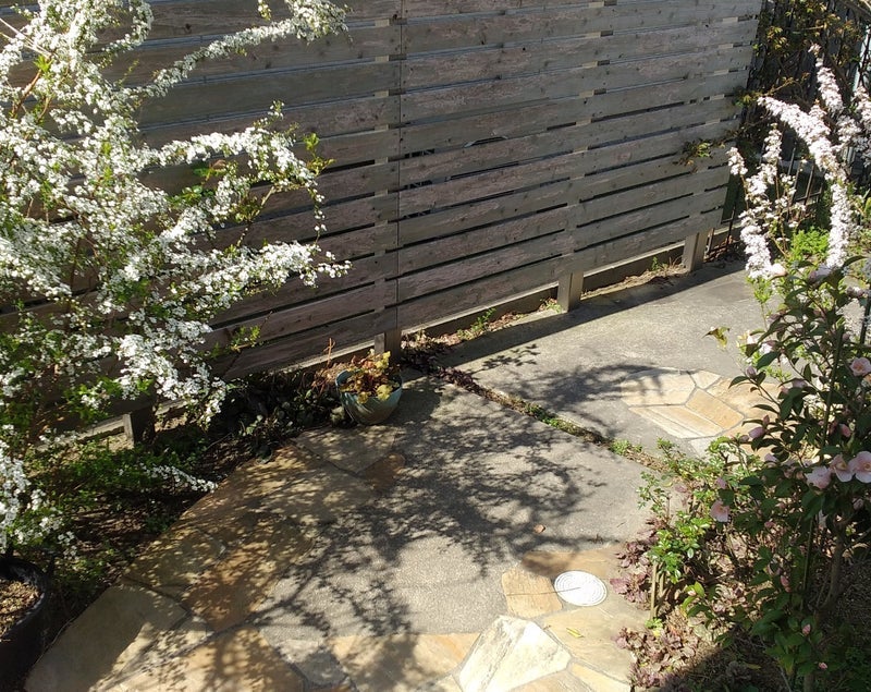 仲良しと一緒で他を見てない息子の画像