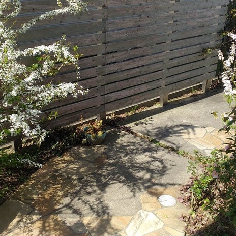 仲良しと一緒で他を見てない息子の画像